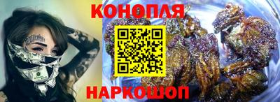 амф Кингисепп