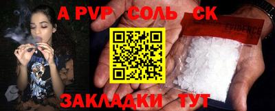 амф Кингисепп