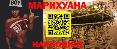 трава Кинель