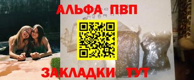 амф Кингисепп