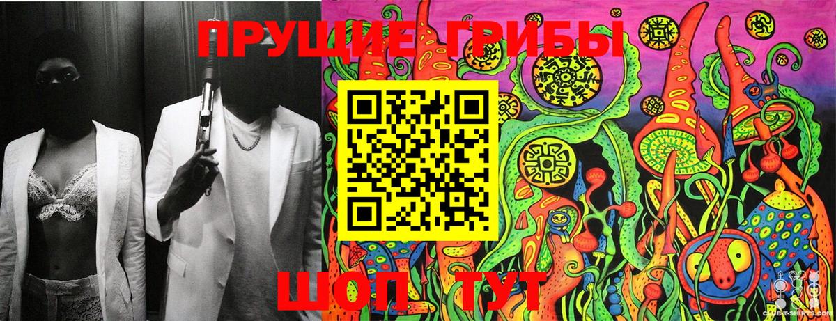 Галлюциногенные грибы мицелий  закладка  Заречный 