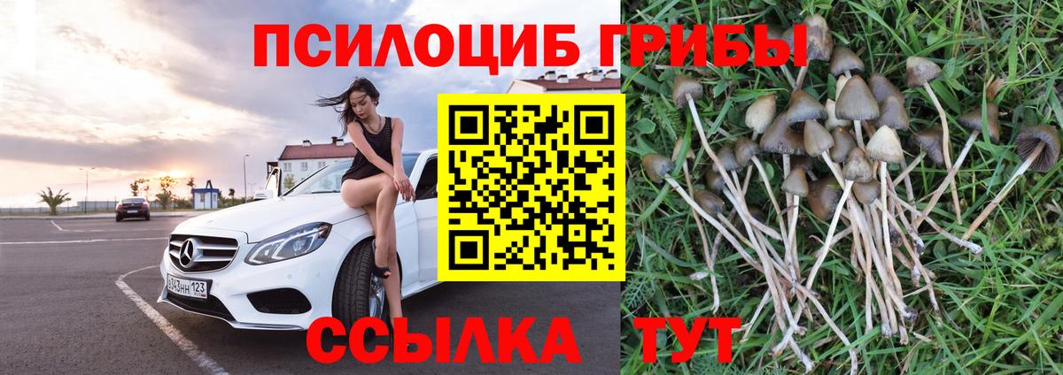 Псилоцибиновые грибы ЛСД  Вход с VPN  Заречный 