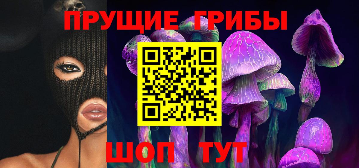 Псилоцибиновые грибы GOLDEN TEACHER Заречный
