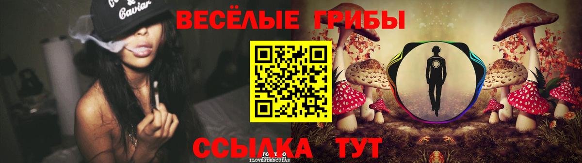 Галлюциногенные грибы Psilocybe Заречный